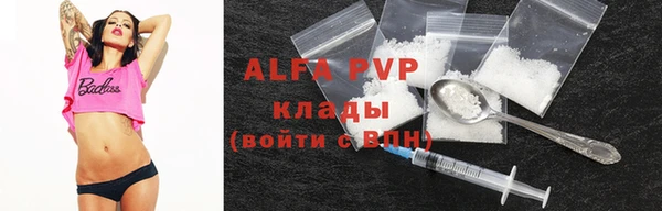 ГАЛЛЮЦИНОГЕННЫЕ ГРИБЫ Валдай