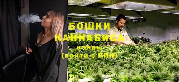 ГАЛЛЮЦИНОГЕННЫЕ ГРИБЫ Покровск