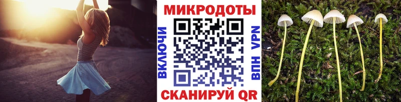 Галлюциногенные грибы Psilocybine cubensis Белёв